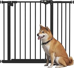 ¿Qué es mejor: vallas para perros o alternativas de seguridad?