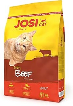 ¿Cuál es mejor para tu gato de interior: pienso seco o húmedo?