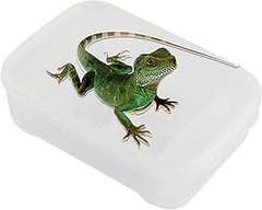 Dónde Comprar Terrarios para Geckos y Lagartos en Línea