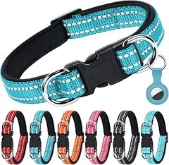 ¿Cómo Cambiar el Collar de mi Perro? Consejos Prácticos