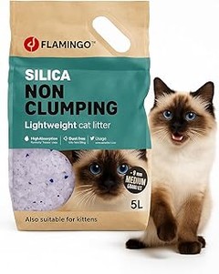 Cómo elegir la mejor arena de sílice para tu gato