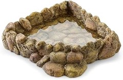 Frecuencia y consejos para cambiar el agua en el cuenco de reptiles