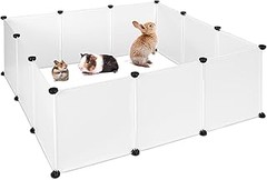 El Momento Ideal para Introducir a tu Conejo en un Parque o Corral