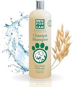 Cambiar el champú de tu perro: ¿cuándo y cómo hacerlo correctamente?