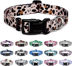 ¿Cuál es el gasto adecuado para un collar de perro?