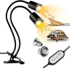 Duración óptima de uso de lámparas UVB para reptiles