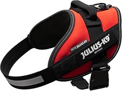 Mantenimiento y cuidados de collares reflectantes para perros
