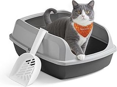 Los mejores lugares para comprar areneros abiertos para gatos