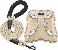 Mejores lugares para comprar chalecos reflectantes para perros