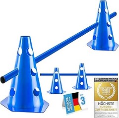 Mejores lugares para comprar conos y obstáculos de agility para perros