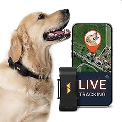 Las mejores opciones para comprar localizadores GPS para mascotas