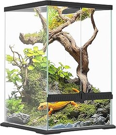 Mejores opciones para comprar terrarios de cristal para reptiles