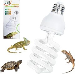 Cómo afecta la ausencia de luz UVB en la salud de los reptiles