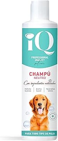 Consejos para Eliminar Olores en Perros con Champús Especializados