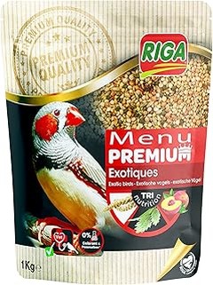 Cómo enriquecer la dieta de tu ave pequeña con semillas