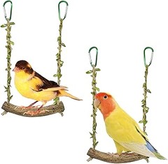 Errores comunes al dejar juguetes con periquitos y cómo evitarlos