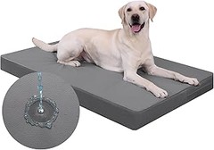 Problemas comunes al elegir camas para perros y cómo solucionarlos