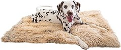 7 errores que debes evitar al elegir mantas para perros
