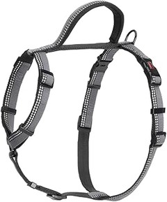 Errores Frecuentes al Usar Collares Reflectantes para Perros