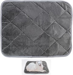 Evita estos errores al utilizar la esterilla térmica para tu gato