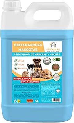 Problemas frecuentes al usar limpiadores de manchas en alfombras para mascotas