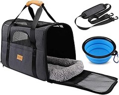 Problemas frecuentes al viajar con maletas y bolsas para mascotas