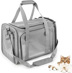 Problemas comunes al usar transportines homologados para gatos