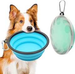 Problemas frecuentes al usar comederos portátiles para perros