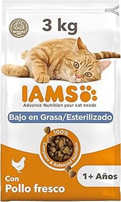 ¿El pienso económico es saludable para los gatos?