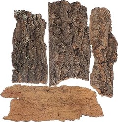 Comparativa de fondos decorativos para terrarios de reptiles y plantas