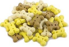 Galletas para perros: Descubre si son seguras para ellos