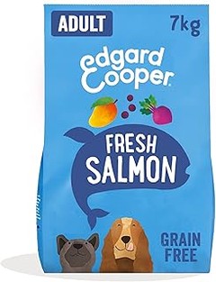 Cómo elegir el mejor pienso hipoalergénico para tu perro