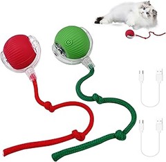 Cómo utilizar y cuidar los juguetes electrónicos para gatos