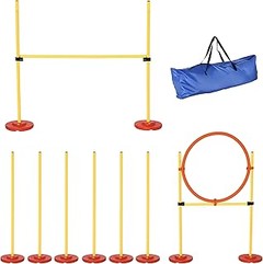 Cómo Elegir los Mejores Conos y Obstáculos para Agility de Perros