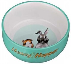 Cómo elegir el comedero perfecto para tus cobayas