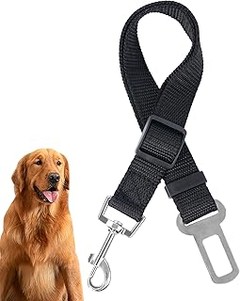 Cómo elegir el mejor cinturón de seguridad para tu perro