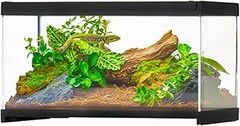 Cómo elegir el mejor terrario de cristal para tus reptiles