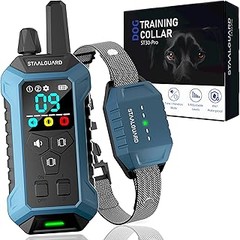 ¿Qué herramientas son imprescindibles en un set de adiestramiento para perros?