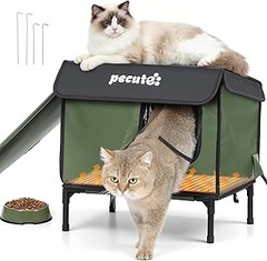 Todo sobre los iglús y refugios para gatos