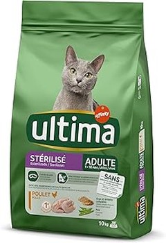 ¿Qué Ingredientes Debo Evitar en el Pienso para Gatos de Interior?