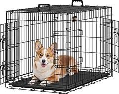 ¿Son Seguras las Jaulas Plegables para Perros?