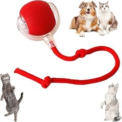 Los Mejores Juguetes Interactivos para Perros según Adiestradores
