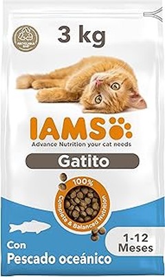 Las Marcas de Pienso para Gatos Cachorros que Recomiendan los Veterinarios