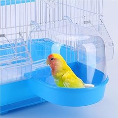 Cómo Mantener y Limpiar Bañeras para Jaulas de Aves