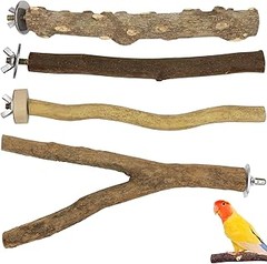 Cómo Limpiar y Mantener las Perchas para Aves de Forma Adecuada