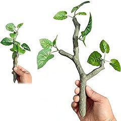 Cómo mantener troncos y ramas decorativas en tu terrario