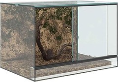 Cómo mantener tu terrario de cristal para reptiles en perfectas condiciones