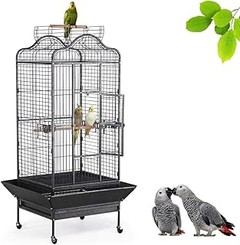 Cómo Limpiar y Mantener Jaulas para Loros de Forma Efectiva