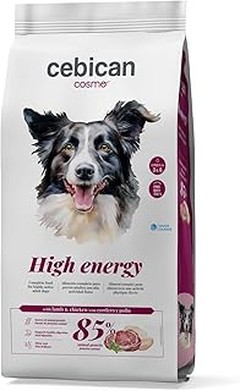 Los mejores piensos naturales para perros muy activos