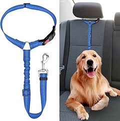 Los mejores arneses de coche para perros grandes: guía comparativa